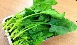 菠菜最新爆料新闻内容,揭秘娱乐圈惊人内幕